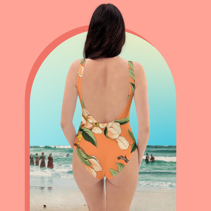 Dreamsicle One-Piece Swimsuit